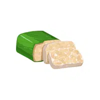 Tempeh | Organic Food Items in English