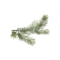 Tree Branch
