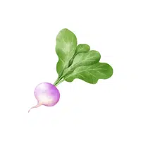 Turnip greens | Leafy Vegetable name