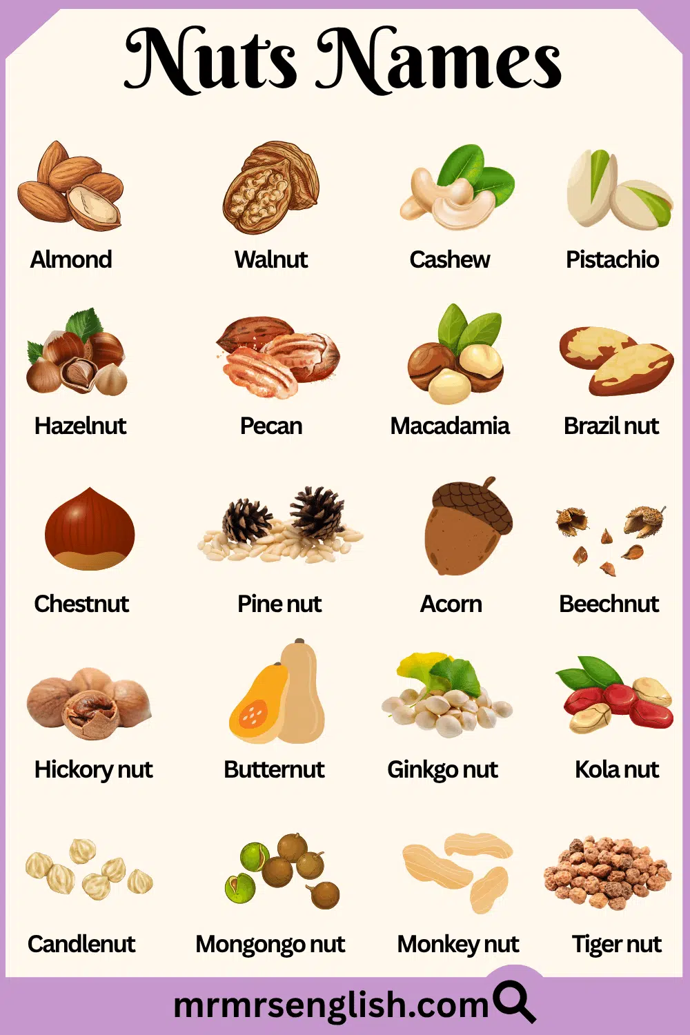 Types of Nuts Names and Pictures