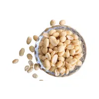 Unsalted Peanut | Types of Nuts Names in English