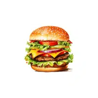 Veggie Burger | Dinner Foods Names in English