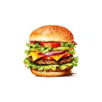 Veggie Burger | Lunch Food Names in English