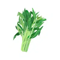 Water spinach | Leafy Vegetable name