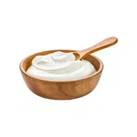 Yogurt | Organic Food Items in English