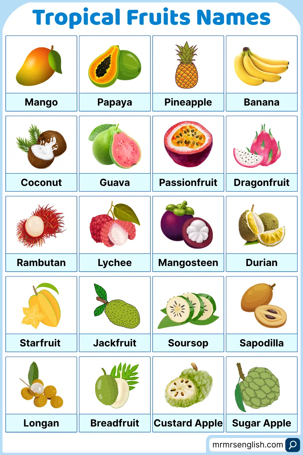 60 Tropical Fruits Names in English and Pictures