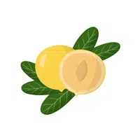 Abiu | Tropical Fruits Names in English