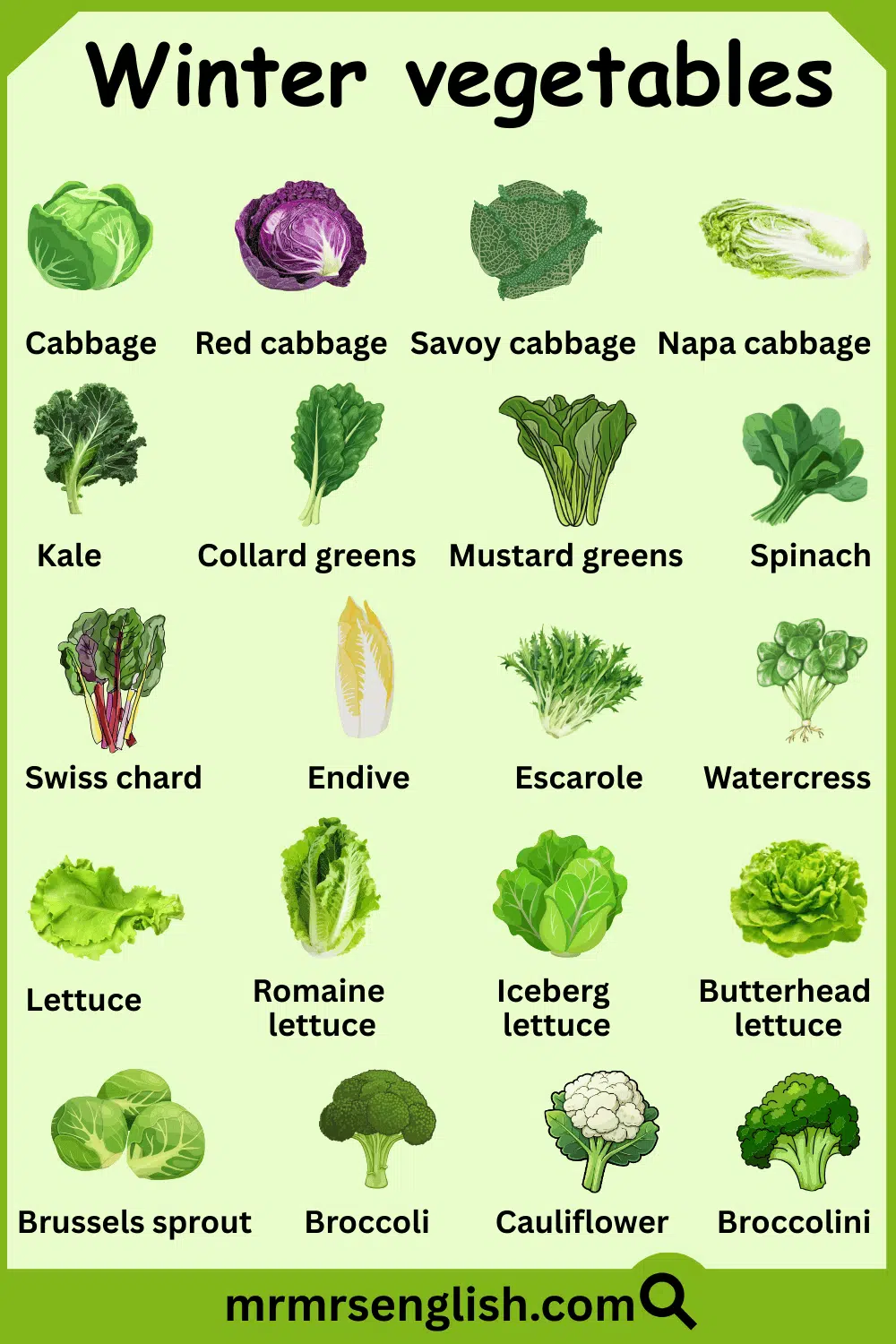 All Winter Vegetable Name in English with Pictures