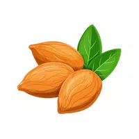 Almonds | Healthy Foods Names in English