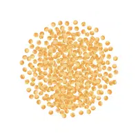 Amaranth | Healthy Foods Names in English