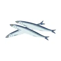 Anchovies