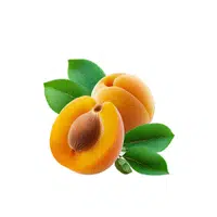 Apricot | Healthy Foods Names in English