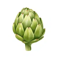 Artichoke | Healthy Foods Names in English