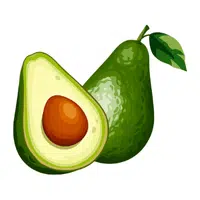 Avocado | Foods Names in English