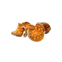 Bael Fruit