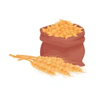 Barley | Healthy Foods Names in English