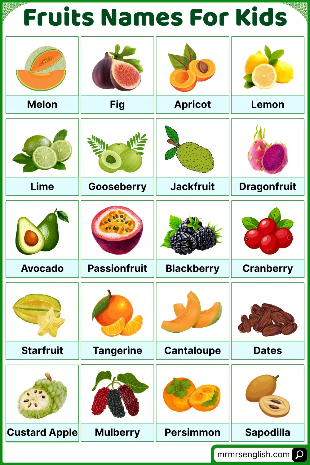 Basic Tropical Fruits Name with their Pictures