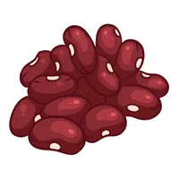 Beans | Foods Names in English