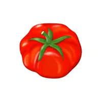 Beefsteak tomato | Summer Vegetables Names in English