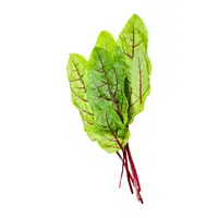 Beet greens | Winter Vegetables Names in English