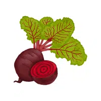 Beetroot