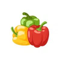 Bell pepper | Summer Vegetables Names in English