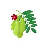 Bilimbi