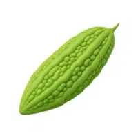 Bitter gourd | Summer Vegetables Names in English