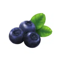 Blueberry