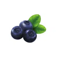 Blueberry | Healthy Foods Names in English
