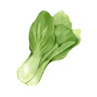 Bok choy | Winter Vegetables Names in English