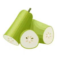 Bottle gourd | Summer Vegetables Names in English