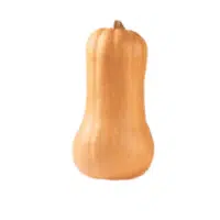 Bottle pumpkin | Summer Vegetables Names in English