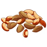 Brazil Nuts | Healthy Foods Names in English