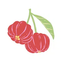 Brazilian Cherry | Tropical Fruits Names in English