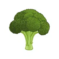 Broccoli | Foods Names in English