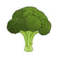 Broccoli | Healthy Foods Names in English