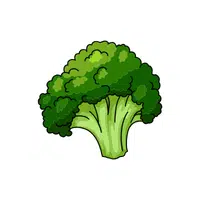 Broccoli | Winter Vegetables Names in English