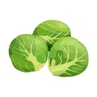 Brussels sprout