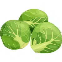 Brussels sprouts