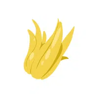Buddha’s Hand | Tropical Fruits Names in English