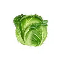 Cabbage | Healthy Foods Names in English