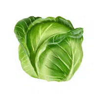 Cabbage | Summer Vegetables Names in English