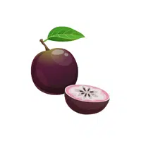 Caimito | Tropical Fruits Names in English