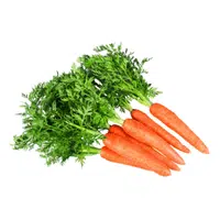 Carrot greens