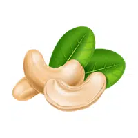 Cashews | Healthy Foods Names in English