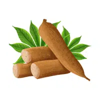 Cassava leaves | Summer Vegetables Names in English