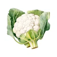 Cauliflower