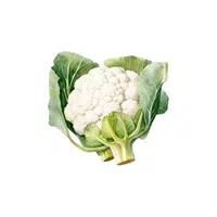 Cauliflower