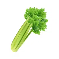 Celery | Summer Vegetables Names in English